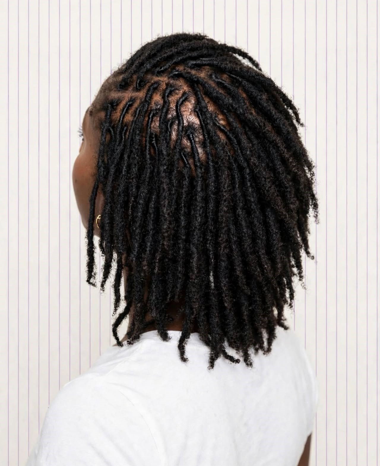 Starter Locs natural hairstyle